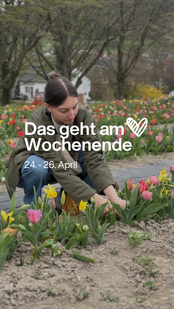 Das solltest du am Wochenende in Reutlingen nicht verpassen 🤩 #nurlieben #reutlingen #reutlingentipps #events #wochenende